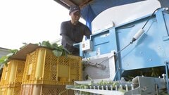 「2年間なんとかしのごう…」食料品の消費税減税で農家の現場は　求められる“置き去り”にしない実効性のある支援策| TBS CROSS DIG with Bloomberg