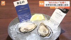 “食あたりしない”牡蠣　世界初「完全陸上養殖」で実現　世界展開も視野| TBS CROSS DIG with Bloomberg
