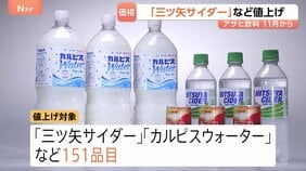 「三ツ矢サイダー」など11月から値上げへ 「カルピスウォーター」など対象は全商品の約半分にあたる151品目に アサヒ飲料|TBS NEWS DIG