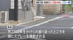 「男2人にスプレーをかけられた」深夜の路上で強盗未遂　きょう未明にも現金奪われ男ら逃走中　警察が関連捜査　埼玉・草加市|TBS NEWS DIG