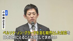 「毅然とした対応を」 自民・小林政調会長が政府に要求 中国・総領事SNS投稿めぐり|TBS NEWS DIG