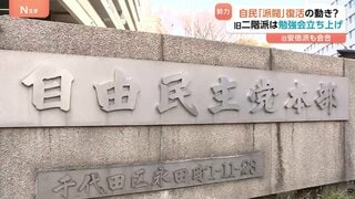 裏金問題で解体も…自民党内で派閥復活の動き？ 旧派閥メンバー中心とした会合相次ぐ　背景に衆院選で誕生した新人議員　党内で存在感高める狙いも| TBS CROSS DIG with Bloomberg