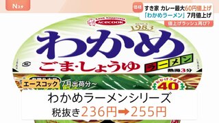 エースコックがカップ麺 約30品目を値上げ　わかめラーメンシリーズ236円→255円 7月出荷分～| TBS CROSS DIG with Bloomberg