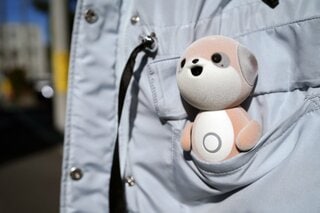 欠点さえ魅力にする、「もふもふ感」が売りの日本発AIロボット| TBS CROSS DIG with Bloomberg
