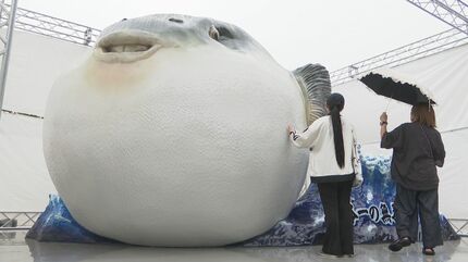 トラフグ 日本最大級！「高さ3.5mのトラフグ」登場 実は熊本県天草市にたくさん
