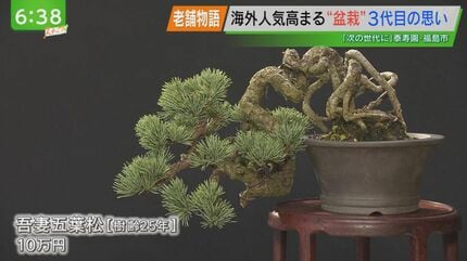 五葉松の人気者　福島の峰吾妻 img_e4dc5135a24a29f1bf7856b76a