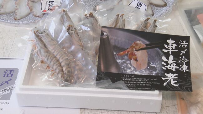 「ふるさと納税」ポイント付与廃止前に“駆け込み寄付”急増 自治体が対応に追われる|TBS NEWS DIG