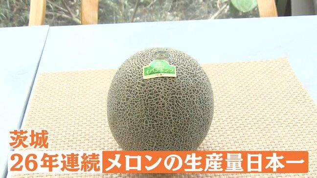 山形といえば「さくらんぼ」茨城といえば…？実は「メロン」生産量日本一　名産品の認知度アップへPR|TBS NEWS DIG