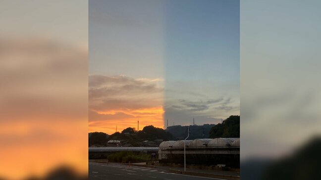 「空が真っ二つ!」光と闇の世界…マスカット農家の男性が不思議な現象を撮影【画像を見る】|TBS NEWS DIG