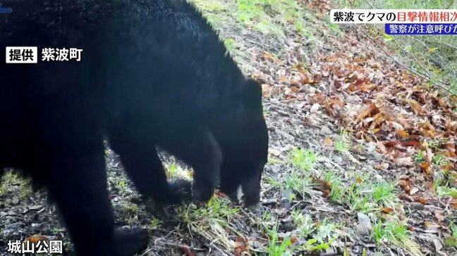 クマ出没で花見の名所にも影響が…　岩手県紫波町でクマの目撃相次ぐ　監視カメラにも姿|TBS NEWS DIG