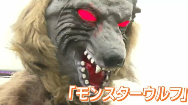 「オラオラオラァーッ！」まるでスタープラチナ？クマ撃退で畑に”スタンド”アップする「モンスターウルフ」とは？山形市で今月実証実験開始|TBS NEWS DIG
