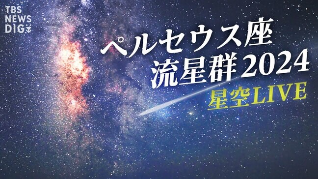 【星空LIVE】ペルセウス座流星群2024　夏の夜空に舞う流星を“超高感度カメラ”でLIVE配信！｜TBS NEWS DIG|TBS NEWS DIG