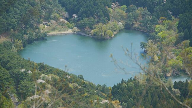 絶滅危惧種シラネアオイに貴重な風景ハートレイク　桑折町・半田山で山開き　福島|TBS NEWS DIG