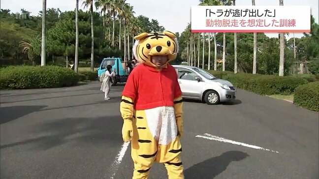 地震でトラが逃げ出した想定　宮崎市フェニックス自然動物園で避難誘導と捕獲の訓練|TBS NEWS DIG