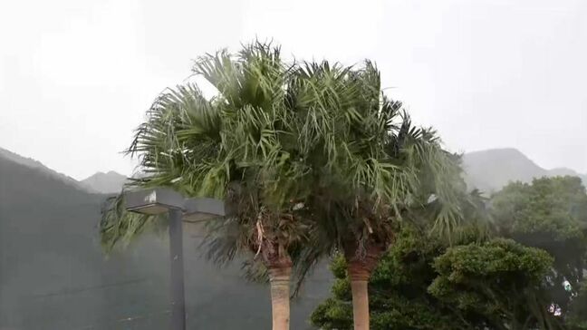 種子島で最大瞬間風速24.3メートル　最大4メートルのしけで欠航相次ぐ　鹿児島|TBS NEWS DIG