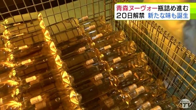 新たに『スチューベン』使用のワインも！　「ボージョレ・ヌーボー」の解禁に向け　青森県むつ市のワイナリーで「青森ヌーヴォー」の瓶詰め作業はじまる　解禁日の11月20日に発売へ|TBS NEWS DIG