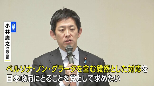 「毅然とした対応を」 自民・小林政調会長が政府に要求　中国・総領事SNS投稿めぐり|TBS NEWS DIG