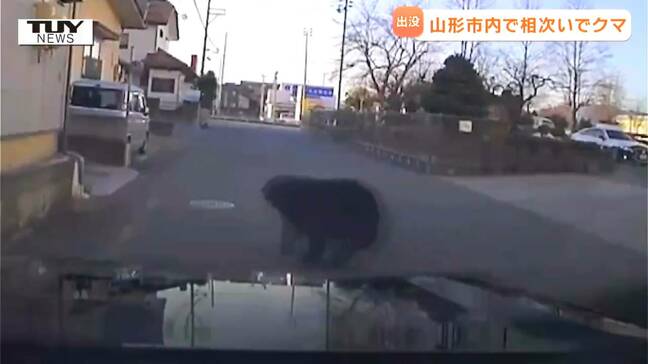 「クマいます!外出ないで!」パトカーが警戒中に中学校の敷地からクマ...山形市でクマの出没相次ぐ 県は「クマ出没警報」を12月末まで延長(山形)|TBS NEWS DIG