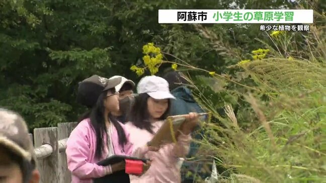 「大切にしたい」小学生が秋の草原学習 公園に20種の希少植物 熊本・阿蘇市|TBS NEWS DIG