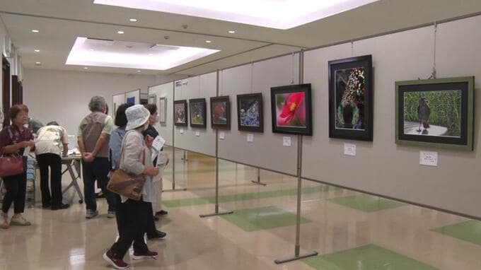 全日本写真連盟　合同写真展　個性溢れる作品が勢揃い　中城村|TBS NEWS DIG