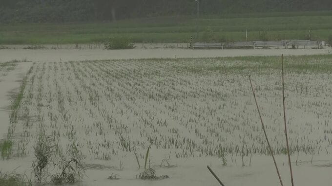 石川・能登地方の記録的大雨 道路の崩落など被害相次ぐ　|　石川県のニュース｜MRO北陸放送