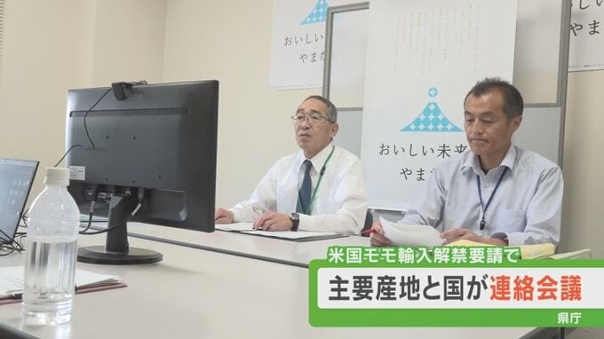 米国産モモの輸入解禁要請　主要産地と国が連絡会議　|　山梨のニュース | ＵＴＹテレビ山梨