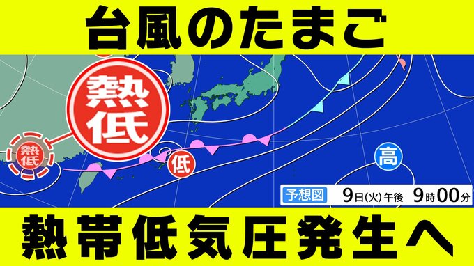 【台風のたまご】熱帯低気圧発生へ  沖縄・奄美は大雨に警戒  気象庁予想天気図【雨・風シミュレーション14日（日）まで】台風情報に今後注意|TBS NEWS DIG