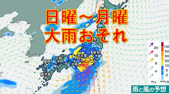 関東、近畿、東海など大雨おそれ　日曜に梅雨前線上の低気圧が東へ　雨シミュレーション9日（日）～10日（月）　|　鹿児島のニュース｜MBC NEWS｜南日本放送