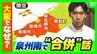 【大阪南部で市が合併？】泉佐野市・泉南市が検討へ　大阪で新市誕生となれば「平成の大合併」以来　人口減など見据えた“生き残り策” それぞれの市民の声は　|　MBSニュース | 関西の最新ニュースを分かりやすく。