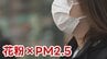 九州の花粉飛散量『過去10年で最多の恐れ』　“PM2.5とダブルパンチ” で花粉症と無縁の人も要注意！　|　熊本のニュース｜RKK NEWS｜RKK熊本放送