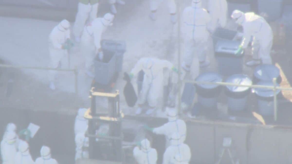 高病原性鳥インフルエンザ感染 養鶏場でニワトリ約2万5000羽の殺処分始まる 県内では2011年以来の感染 三重･津市