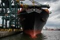 世界最大のコンテナ海運会社、ホルムズ海峡回避の新ルートを計画| TBS CROSS DIG with Bloomberg