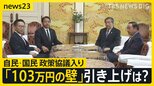 「103万円の壁」引き上げは？自民・国民が協議入りで合意　選択的夫婦別姓、企業・団体献金禁止…「少数与党」で政策実現どうなる？斎藤幸平さんの懸念は？【news23】|TBS NEWS DIG