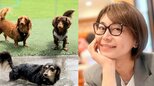 【 氷川きよし 】「親バカですんません」朝から走り回る愛犬たちとの日常を投稿「毎日、溺愛してます」|TBS NEWS DIG