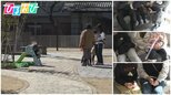 少子化対策のヒントに? 脱・「孤育て」 子育て家族のための賃貸物件に注目!【ひるおび】|TBS NEWS DIG