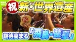 地味でわかりにくい?奈良の新・世界遺産「飛鳥・藤原の宮都」実は“日本の始まり”体感できる歴史スポット!魅力伝えるカギは“視覚”|TBS NEWS DIG