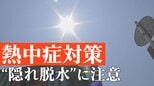 “隠れ脱水”は爪で3秒セルフチェック 熱中症対策はシンプルに暑さを避け水分を摂ること|TBS NEWS DIG