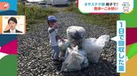 【#サステナ部】教えて!“わたしのSDGs” 「こどもの日」【Nスタ】|TBS NEWS DIG