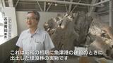 2000年前の木の根が当時のまま出土…魚津埋没林って何?なぜ腐らない?なぜ見つかった?埋没林博物館の館長に聞いてみた | 富山のニュース|天気・防災|チューリップテレビ