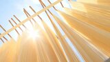 そうめんの天日干し 青空の下“きらきら” 昔ながらの製法受け継ぐ 大分・宇佐市 | 大分のニュース|OBS NEWS|大分放送