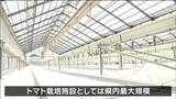 「地元の子どもが食べて育ったとなればうれしい」県内最大級のトマト栽培施設完成　宮城・美里町|TBS NEWS DIG