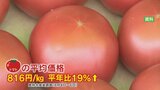 「正常な花が咲いていない」猛暑などの影響➡トマト出荷量が減少➡価格が約2割高 価格が平年を下回っている野菜とは|TBS NEWS DIG