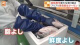 人気回転寿司チェーンの新たな取り組み 絶品サーモンには“日本初”の試みが!土曜日限定の新鮮地魚も|TBS NEWS DIG