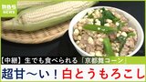 【中継】まるでフルーツ!?生でも食べられる超甘〜い「京都舞コーン」で絶品丼づくり 京都・久御山町【川地洋平の最旬!丼マン】|TBS NEWS DIG