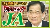 コメ価格のカギ握るJAは "強すぎる" ?備蓄米の9割以上を落札した巨大組織は自民党と深いつながり 『減反政策支持がコメ高騰の一因』と専門家は指摘【解説】|TBS NEWS DIG