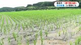 雨で水道管流され再び断水　コメ農家「かつて経験したことない」新燃岳の影響続く　鹿児島|TBS NEWS DIG