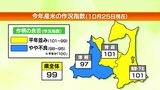 青森県コメ作況指数99の「平年並み」も予想収穫量は過去最少 8月以降の日照不足たたる|TBS NEWS DIG
