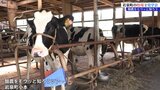 酪農に興味がある人を就農につなげる取り組み 酪農をモウッと知ろうツアー 岩手・岩泉町|TBS NEWS DIG