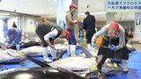 岩手県大船渡市でマグロ大漁 でも手放しでは喜べず いきなり漁獲枠いっぱいに!?|TBS NEWS DIG