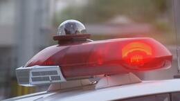 19歳男子高校生を大麻使用の疑いで逮捕　職務質問後の尿検査で発覚　仙台　|　宮城のニュース│tbc NEWS│tbc東北放送